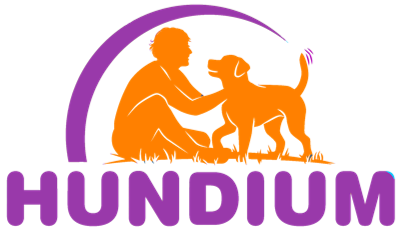 hundium.com